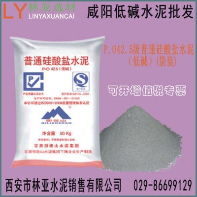 咸阳 P.O42.5级普通硅酸盐水泥（低碱）(袋装)